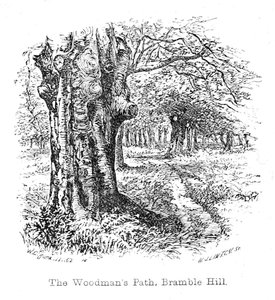 Le Chemin du bûcheron, Bramble Hill - Walter Crane
